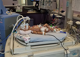 simlab-neohart-5